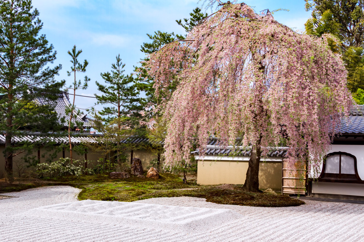 写真：高台寺