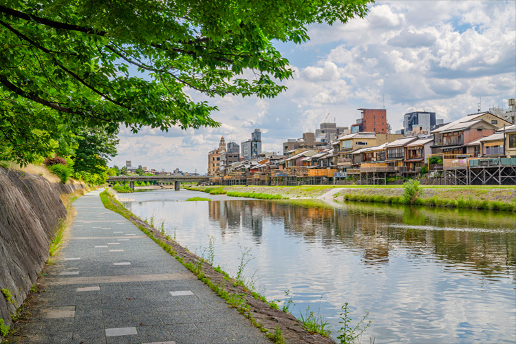 写真：J 鴨川