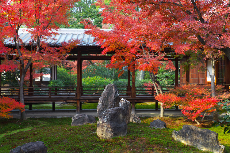 写真：