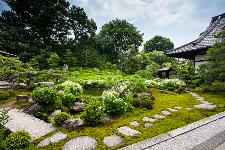 写真：